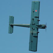 airShow2008