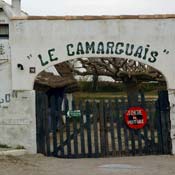 april2007/Camargue