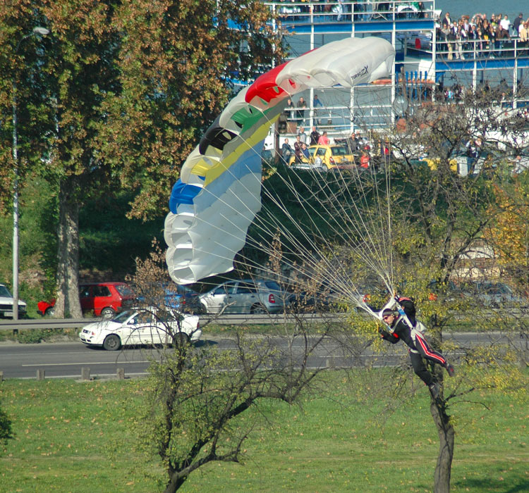 airShow2008