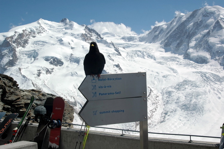april2007/Zermatt_Gornergrat