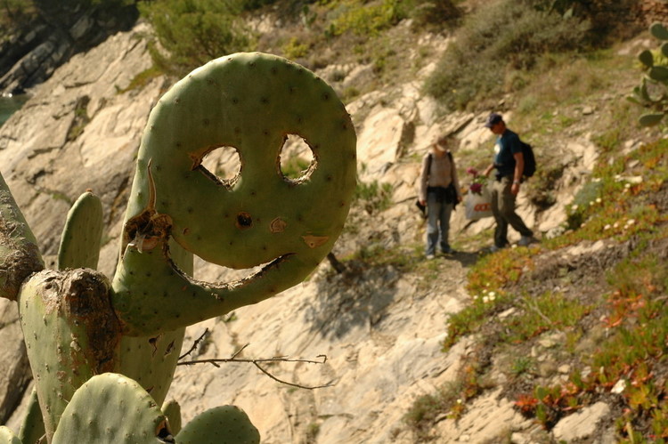 april2007/cadaques_Port_Lligat